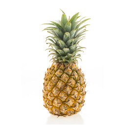 Fruit Pineapple Sample